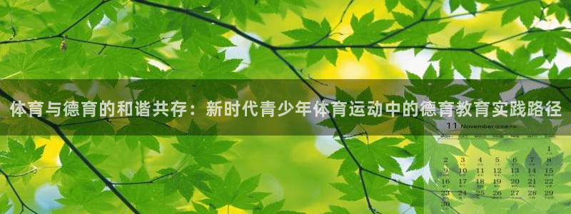 体育与德育的和谐共存：新时代青少年体育运动中的德育教育实践路径
