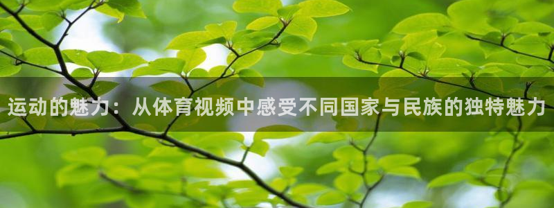运动的魅力：从体育视频中感受不同国家与民族的独特魅力