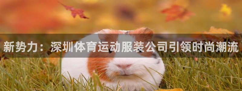 新势力：深圳体育运动服装公司引领时尚潮流
