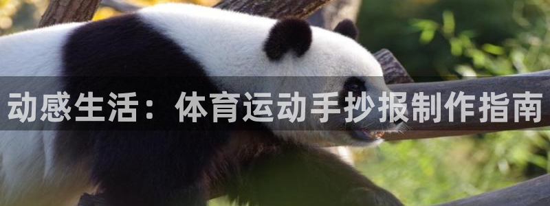 动感生活：体育运动手抄报制作指南