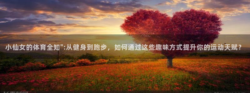 小仙女的体育全知\