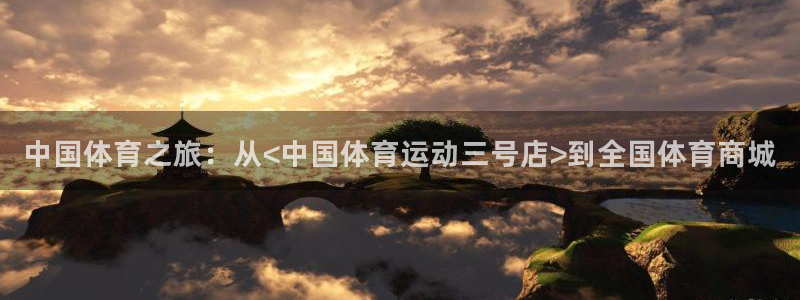 中国体育之旅：从<中国体育运动三号店>到全国体育商城