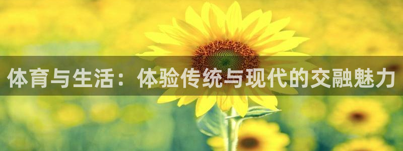 体育与生活：体验传统与现代的交融魅力